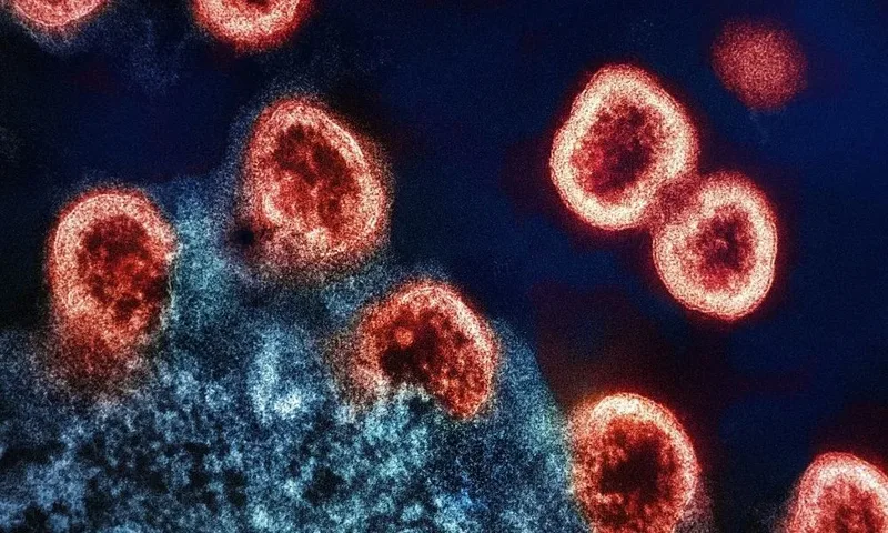 Uso irregular da PrEP mantém desafio para prevenção do HIV no Brasil