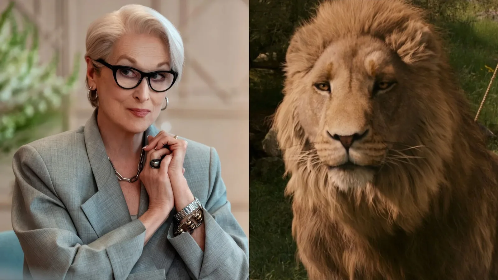 Meryl Streep vai dublar Aslan em novo filme de Nárnia