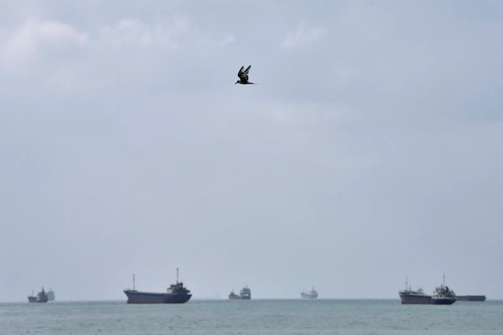 Irã acusa EUA de atacar petroleiro perto da ilha de Kharg