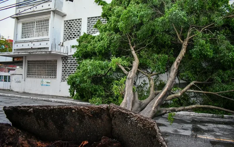 Frente fria mantém alerta após chuva e interrompe energia em SP