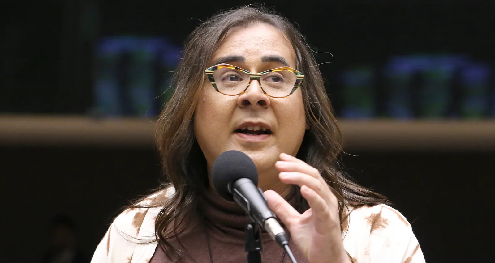 Duda Salabert relata agressão durante fiscalização de mineração ilegal em MG