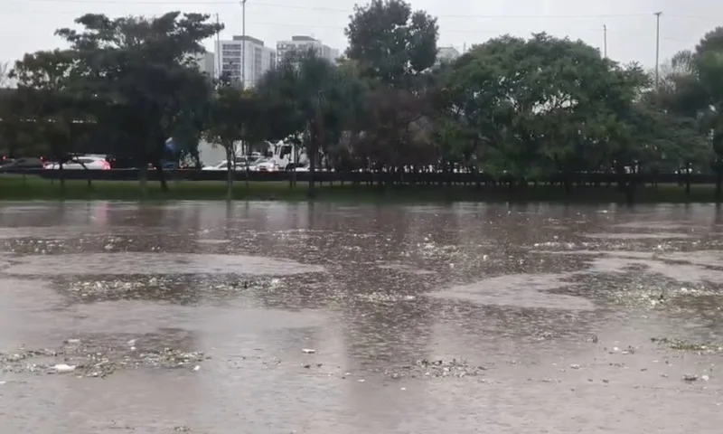 Chuva eleva nível do Tietê e deixa rio perto de transbordar na capital