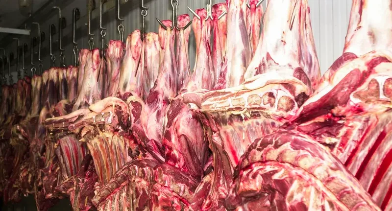 Açougueiro pega 10 anos de prisão por vender carne de porco em Najaf