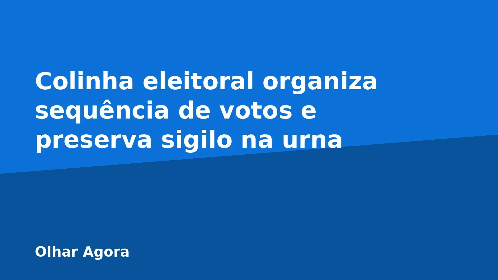Colinha eleitoral organiza sequência de votos e preserva sigilo na urna