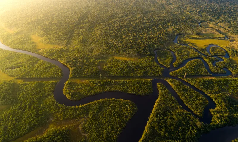 Desmatamento na Amazônia cai ao menor nível da série histórica em 2025